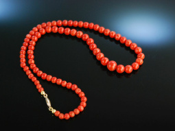 Naples around 1930! Fine coral necklace in gradient and...