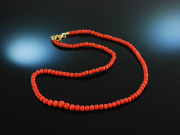 Wonderful red! Fine mediterranean coral necklace around...