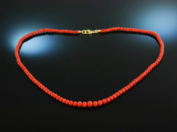 Wonderful red! Fine mediterranean coral necklace around...