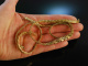 Vintage around 1960! Chic sixties necklace and bracelet silver 835 gold plated