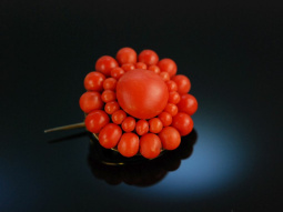 Vienna around 1850! Biedermeier salmon coral brooch...