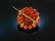 Vienna around 1850! Biedermeier salmon coral brooch silver-gilt