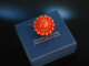 Vienna around 1850! Biedermeier salmon coral brooch silver-gilt