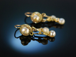 Um 1860! Charmante alte Ohrringe Gold 585 Diamanten und...