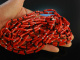 From the Mediterranean! Long necklace 5row noble Sardegna Coral Onyx Silver 925