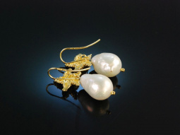 Pretty Seastars! H&uuml;bsche Ohrringe Silber 925 vergoldet wei&szlig;e Zuchtperlen Tropfen