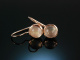 Soft Nude! Sch&ouml;ne Ohrringe Silber 925 ros&eacute; vergoldet Rosenquarz Cabochons