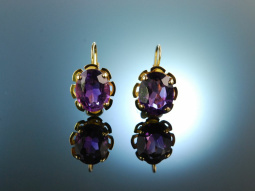 Warm Violet! Sch&ouml;ne Vintage Amethyst Ohrringe um...