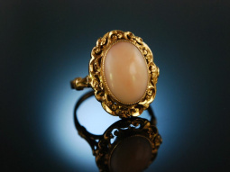 Pale Beauty! Engelshaut Korallen Ring Gold 750