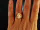 Grazile Gemme! Exquisiter Muschel Kamee Ring Gold 333