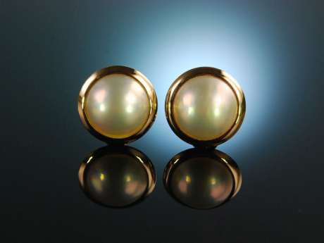 Classy Pearls! Schicke Ohrstecker Mabeperlen Gold 585