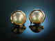 Classy Pearls! Schicke Ohrstecker Mabeperlen Gold 585