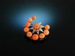 Crescent moon and star! Small salmon coral brooch gold...