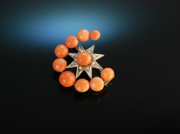 Crescent moon and star! Small salmon coral brooch gold...