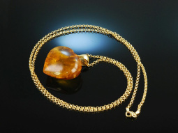 Amber Heart! Feiner Bernstein Herz Anh&auml;nger Sterlingsilber 925 vergoldet mit Kette