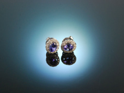 Classy Blue! Wundervolle Tansanit Ohrringe Wei&szlig; Gold 750 Diamanten