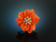 Coral Blossom! Bl&uuml;ten Brosche Koralle Diamanten 0,6 ct Gold 750