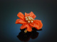 Coral Blossom! Bl&uuml;ten Brosche Koralle Diamanten 0,6 ct Gold 750