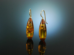 Baltic Amber! Sch&ouml;ne Bernstein Tropfen Ohrringe Gold...