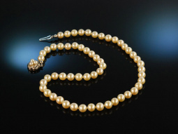 Classy Pearls! Sch&ouml;ne Akoja Zuchtperlenkette um 1980...