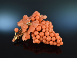 Um 1880! Gro&szlig;e extrem seltene Weintrauben Brosche Sciacca Koralle Gold 585