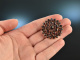 Around 1980! Beautiful traditional costumes garnet rosettes brooch gold 333