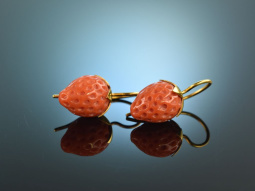 Cute Strawberries! Large italian coral strawberry...