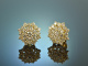 Timelessly elegant! Dream earrings diamonds 1,9 ct gold 750