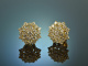 Timelessly elegant! Dream earrings diamonds 1,9 ct gold 750