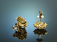Timelessly elegant! Dream earrings diamonds 1,9 ct gold 750