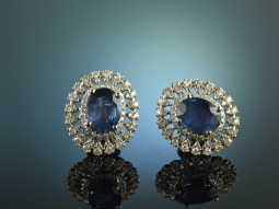 Edles Blau! Feinste Saphir Ohrringe Brillanten 0,74 ct...