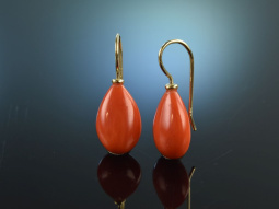 Finest Coral! Traumhafte Edel Korallen Ohrringe Tropfen...