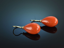 Finest Coral! Traumhafte Edel Korallen Ohrringe Tropfen...