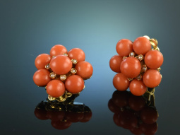 Around 1955! Finest Fine Coral Earclips Sardegna Seed...