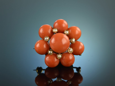 Around 1955! Beautiful Fine Coral Brooch Sardegna Seed Pearls Gold 750