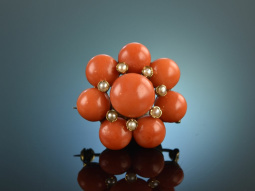 Around 1955! Beautiful Fine Coral Brooch Sardegna Seed...