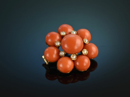 Around 1955! Beautiful Fine Coral Brooch Sardegna Seed...