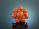 Around 1955! Beautiful Fine Coral Brooch Sardegna Seed Pearls Gold 750