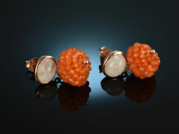 Warm Orange! Elegante Ohrringe Karneole Mondstein Sterling Silber ros&eacute; vergoldet