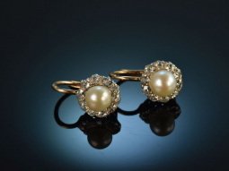 Wien um 1910! Seltene Diamant Naturperlen Ohrringe Gold 585 Silber