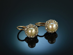 Vienna around 1910! Rare Diamond Natural Pearls Earrings...