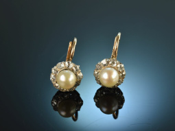 Vienna around 1910! Rare Diamond Natural Pearls Earrings...
